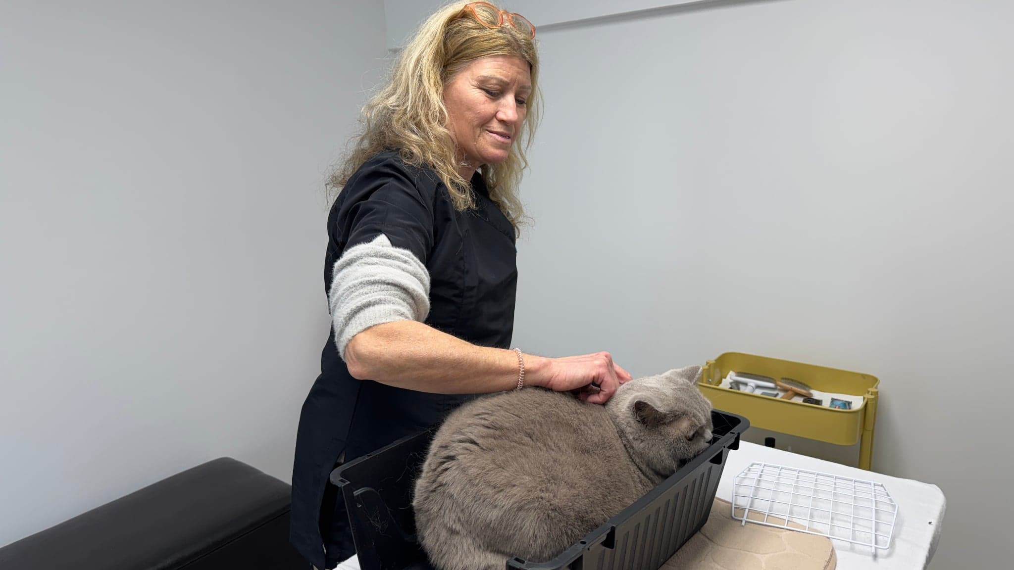 Eind resultaat: Gelukkige kat