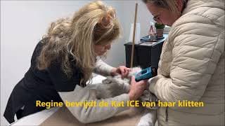 Sfeer video Trimster.be op YouTube